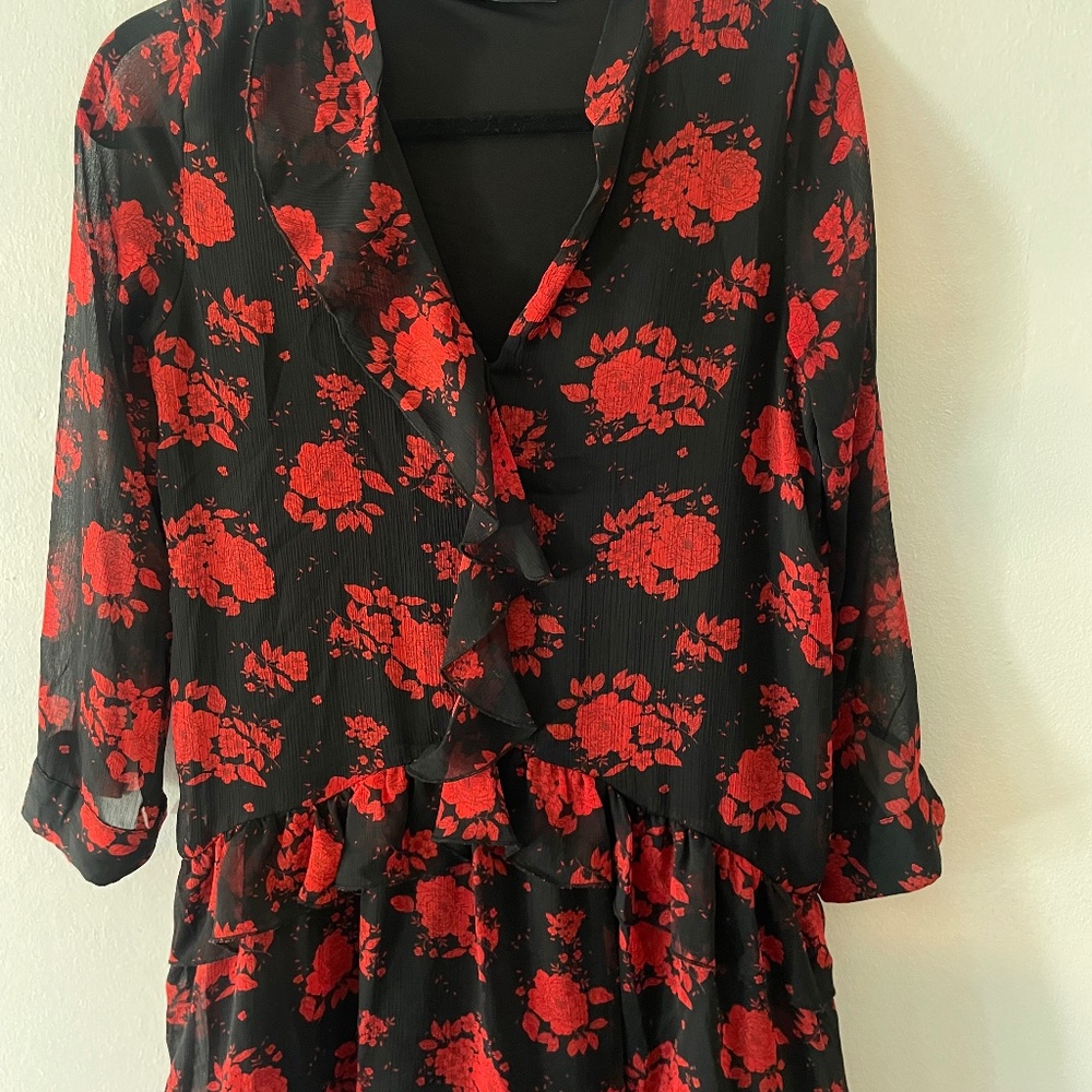 Zara Black & Red Floral Ruffle Mini Dress